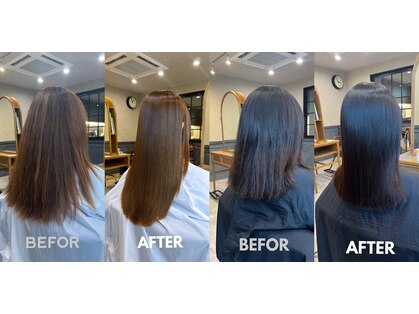 アーカイブ(Archive)の写真