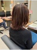 ウルフスタイル ベージュ