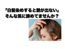 アルト(Alto)