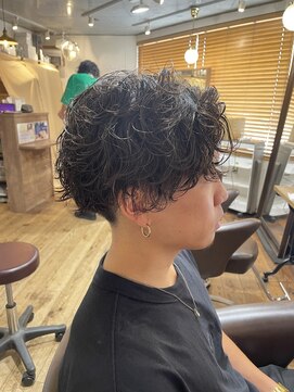スノードロップ 高円寺店(Snowdrop) ハイライト/マッシュパーマ/ウルフ/アッシュブラック