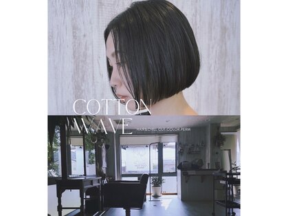 コットンウェーブ(COTTONWAVE)の写真