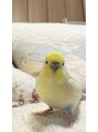 エマージュ 新宿(Emerge)&nbsp;溺愛している我が家のインコちゃんです！
