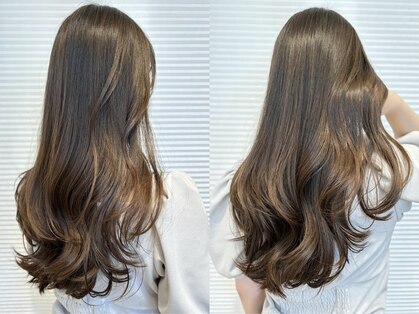 ゼン(Zen.)の写真