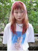 デザインウルフ