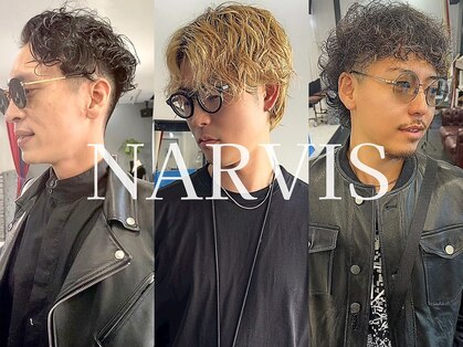 ナービス(NARVIS)の写真