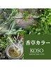 【自然派ヘアカラー】大人髪に植物の恵みで整える 和の香草カラー初回限定