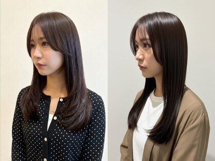シュガー(Sugar)の写真