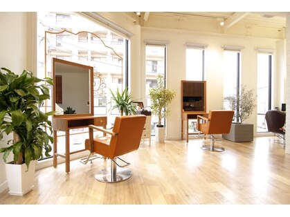 ココロ(Cocoro)の写真