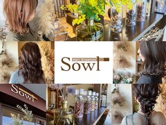 Hair creation Sowl