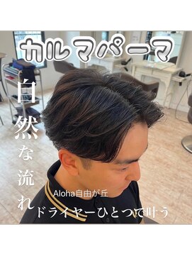 アロハ(ALoha) メンズ 大人気 カルマパーマ