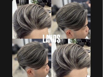ランズ(LANDS)の写真