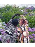 【花火大会やお祭りに♪】ヘアセット&浴衣着付け　￥5500
