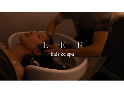 レフ(LEF)の写真