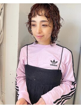 エンシー(ENCI) マッシュウルフ/パーマ