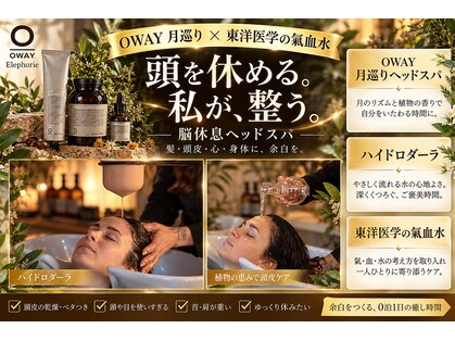 エレフォリー(Elephorie)の写真