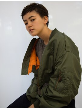 プレディカ(pledica) ai2102