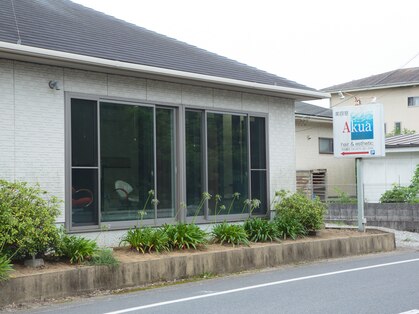 アクア(Akua)の写真