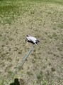 いんかろーず 犬と一緒に散歩もします◎
