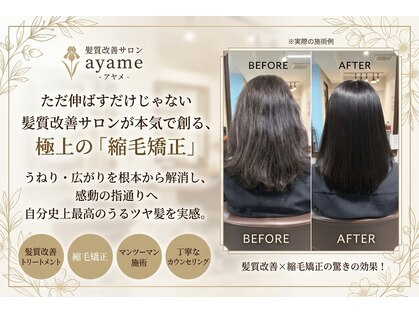 アヤメ(ayame)の写真