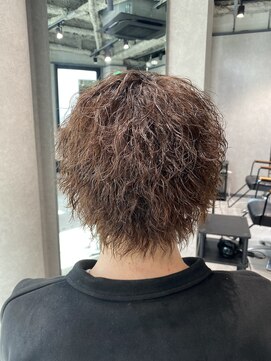 ネクストネオ 静岡(NEXT NEO) NEXT NEO【櫻田】ミニウルフ　ツイストスパイラル　メンズパーマ