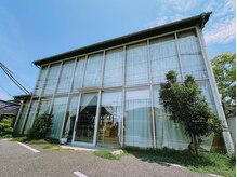 アルベロ(albero)