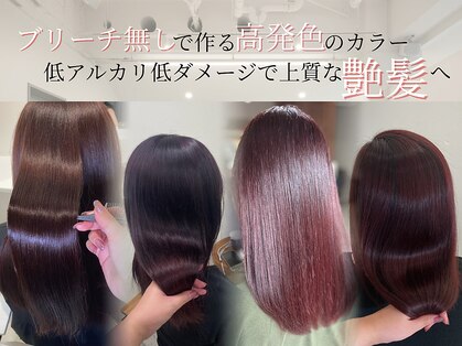 サラ(sara)の写真