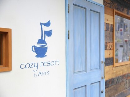 コージー リゾート バイ アンツ 茅ヶ崎駅前店(cozy resort by ANT'S)の写真