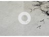 夏限定！デットクスケア＋カット＋カラー￥17,600→11,550～
