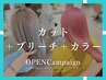 【OPENCampaign】カット＋ブリーチ＋カラー￥9900[伊勢崎/伊勢崎宮子/駒形駅]