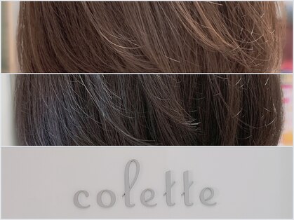 コレット(colette)の写真