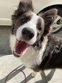 ヘアークリニック ラクシア 石巻(Hair Clinic LAXIA Ishinomaki) 看板犬のウタです！オーナーと毎日一緒に出勤してます。