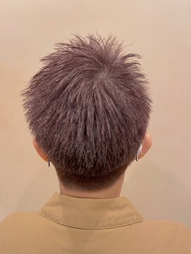 ハイル(Heil) 【Heil】 白髪ぼかし/ツートンカラー/ベリーショート/刈り上げ