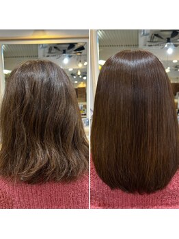 ルーチェ(LUCE)の写真/髪のダメージが気になる方にオススメ!1年後が今よりも美しくなり、我慢せずにいつでもキレイに…