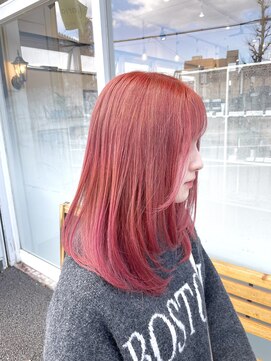 クオリア(Quaria) ピンクカラー／コーラルピンク