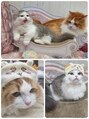グリン 栄(grin) 猫と暮らしてます＾＾