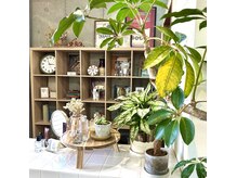 ポピイズ(POPPIES)の雰囲気（フロントは雑貨屋さんのようなカジュアルな雰囲気です♪【博多】）