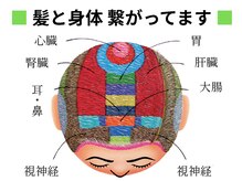 ビューティー アンド & ヘルス コーワ COWAの雰囲気（■髪はとても不思議でデリケート、だから大切に扱わないと・・・）