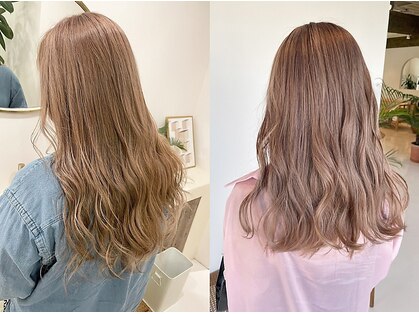 ラウレア(LAULEA)の写真