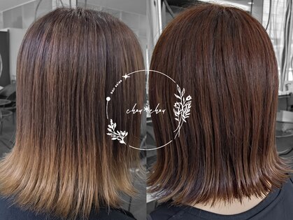 シュシュ(chou＊chou)の写真