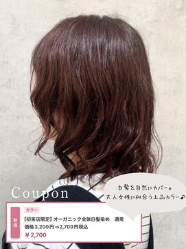 スピーディーカラー大 泉店 オーガニック全体白髪染め