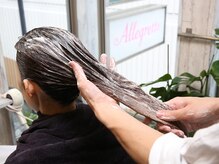 アイジュ(Ayllu)