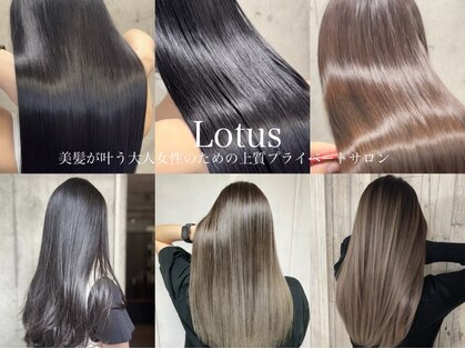 ロータス(Lotus)の写真