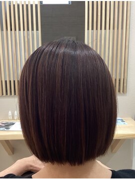 コネクション(conexion) ボブ