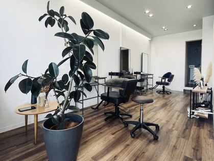 シエン(cien)の写真