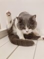 オーガル 栄店(ORGAR) 愛猫のmoonです!この子が待ってる為19時までの勤務です。