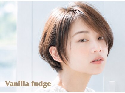 バニラファッジ(Vanilla fudge)の写真