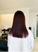 【セミロングスタイル】レッドブラウン