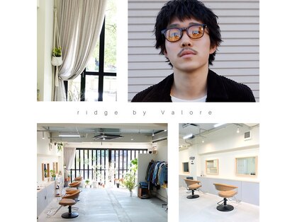 リッジ(ridge)の写真