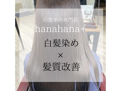 ハナハナプラス 広島駅前店(hanahana+)