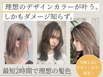 リッシュ(RISH)の写真